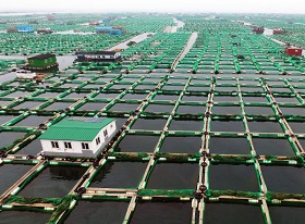 养殖专用发电机解决方案